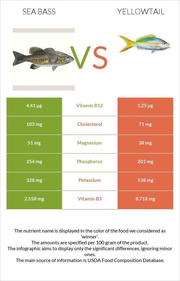 Sea bass vs Yellowtail infographic