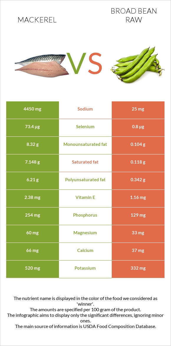 Mackerel vs Broad bean raw infographic