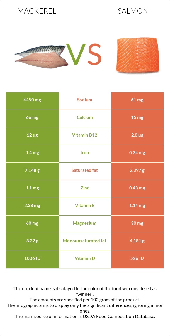 Mackerel vs Salmon infographic