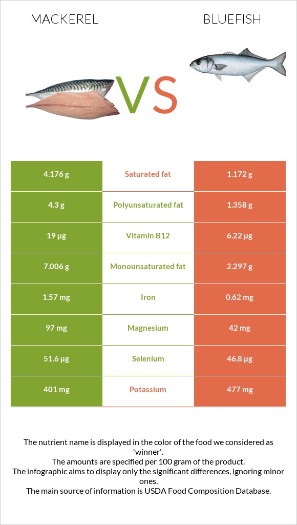 Mackerel vs Bluefish infographic