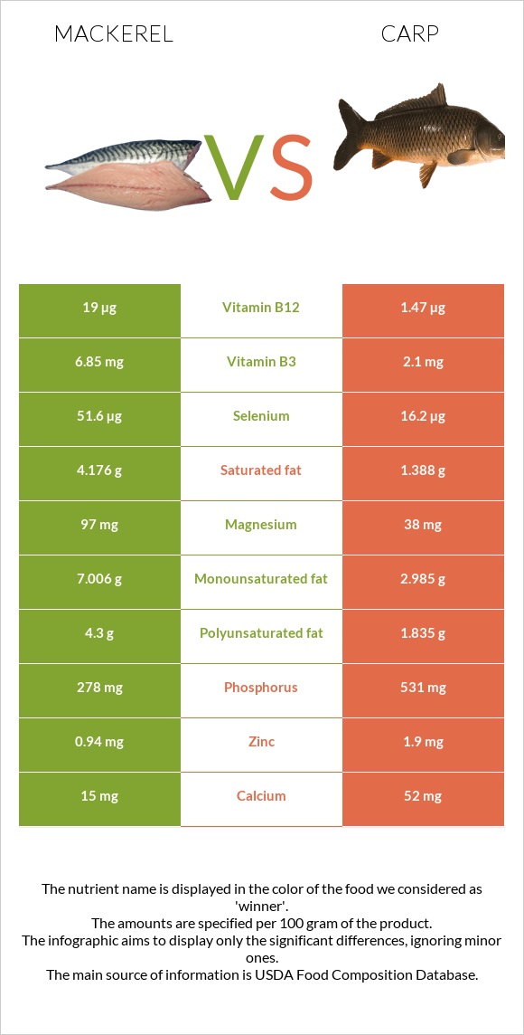 Mackerel vs Carp infographic