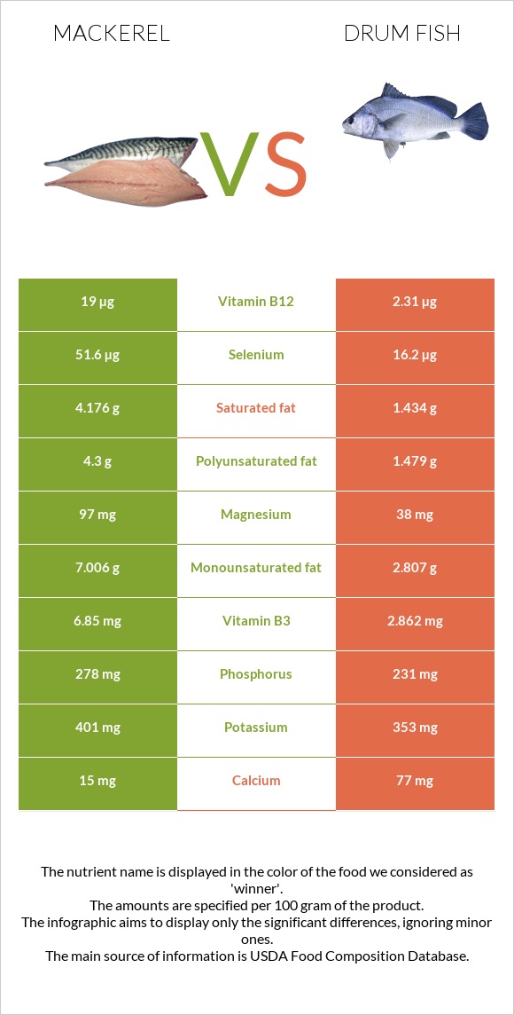 Սկումբրիա vs Drum fish infographic