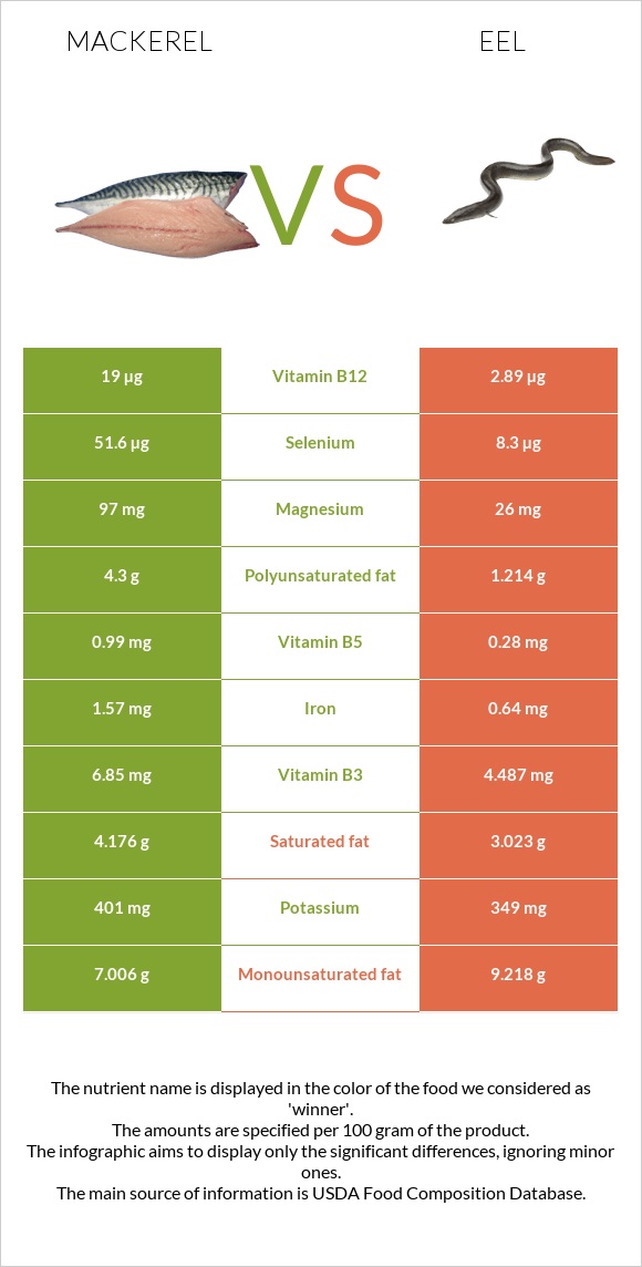 Mackerel vs Eel infographic