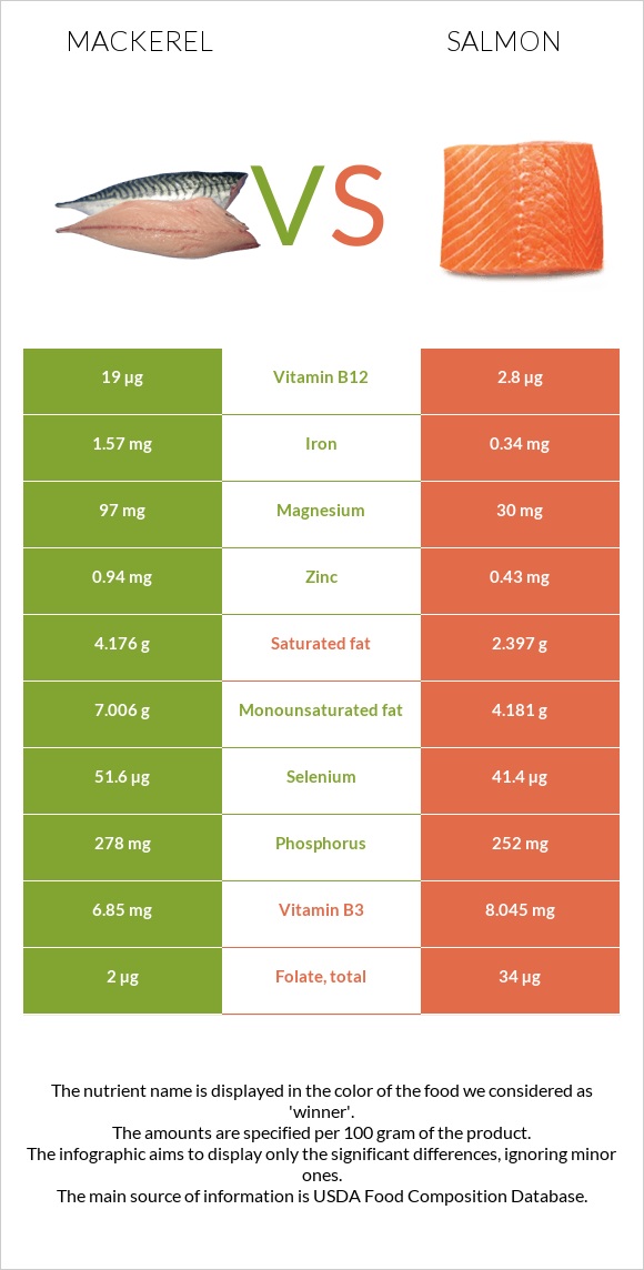 Mackerel vs Salmon infographic