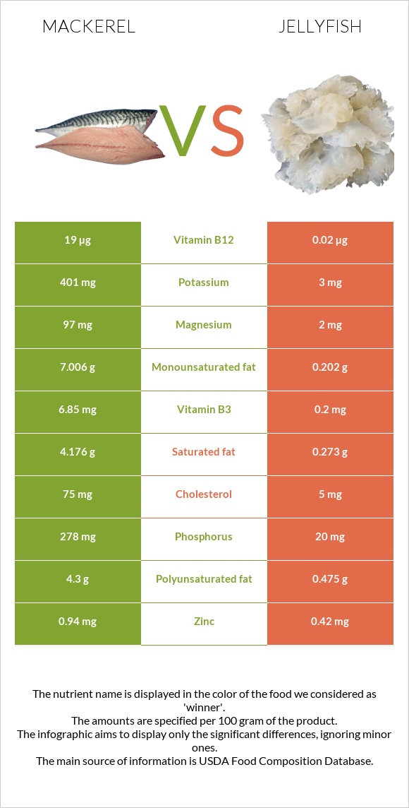 Mackerel vs Jellyfish infographic