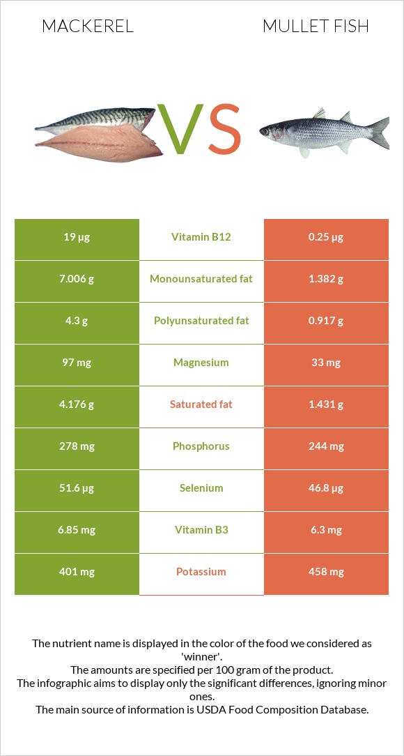 Mackerel vs Mullet fish infographic