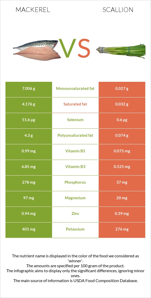 Mackerel vs Scallion infographic