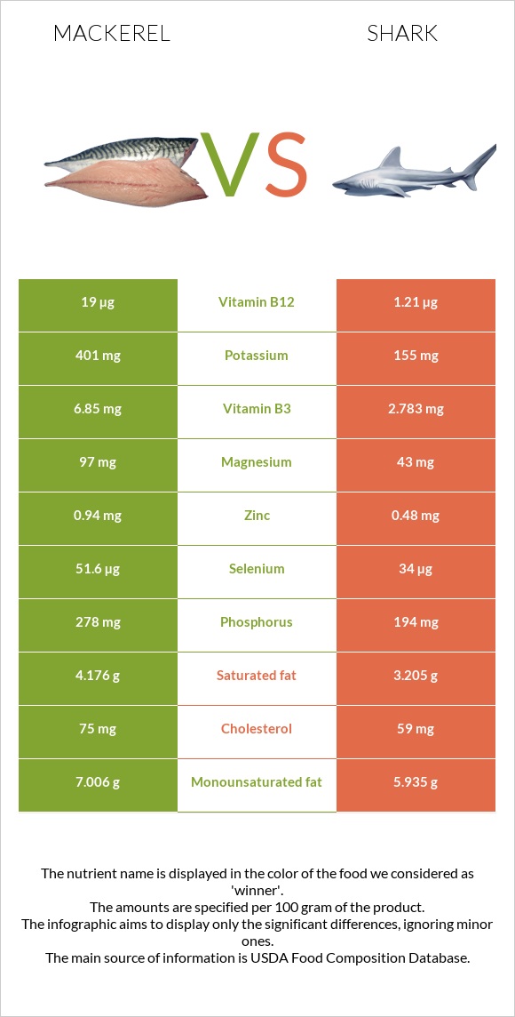 Mackerel vs Shark infographic