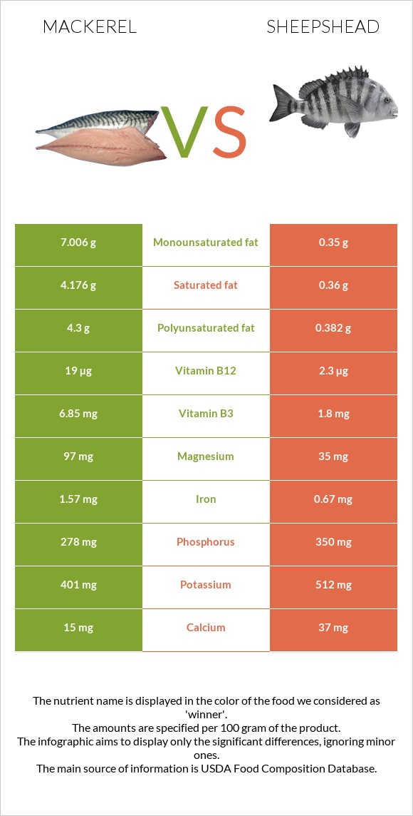 Սկումբրիա vs Sheepshead infographic