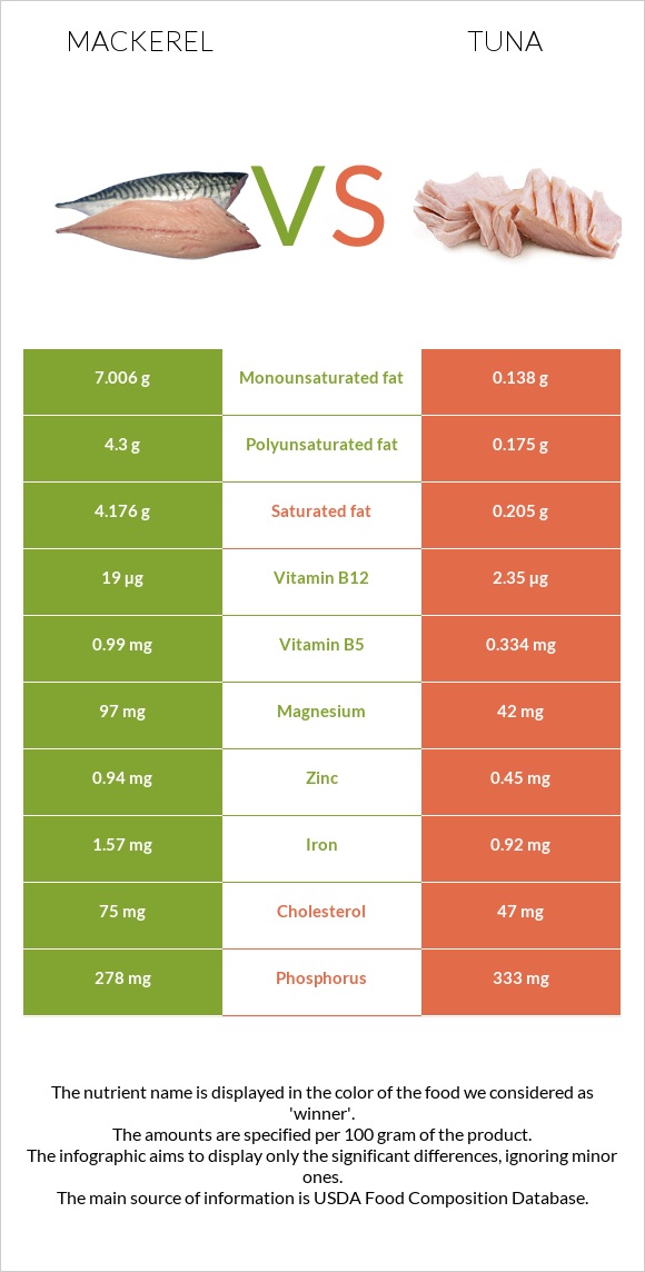 Mackerel vs Tuna infographic