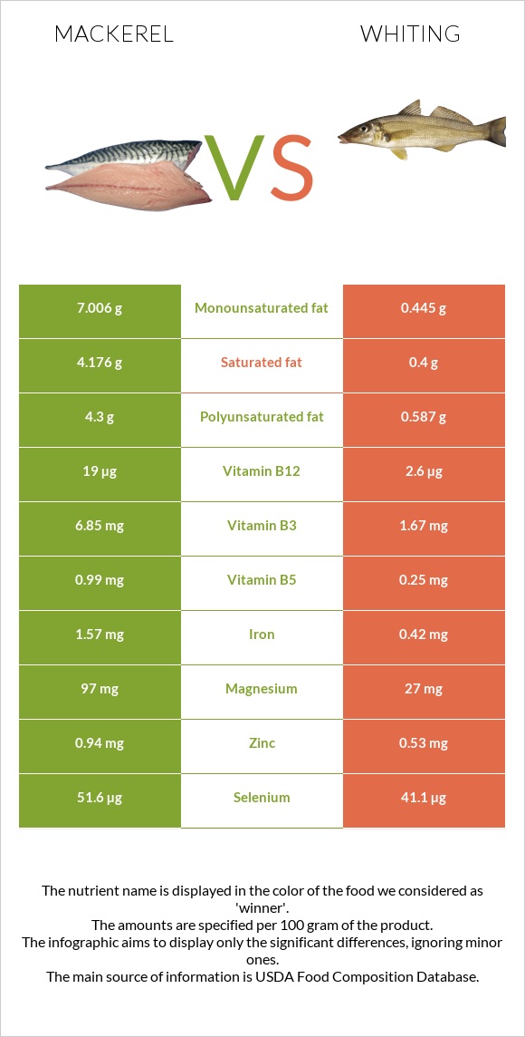 Mackerel vs Whiting infographic