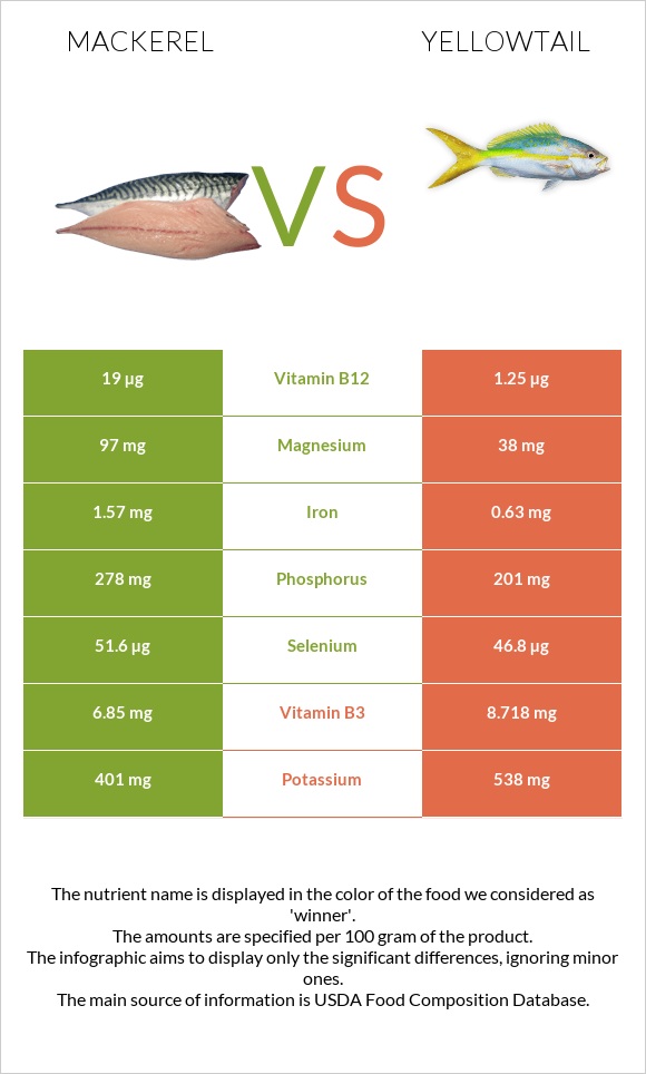 Mackerel vs Yellowtail infographic