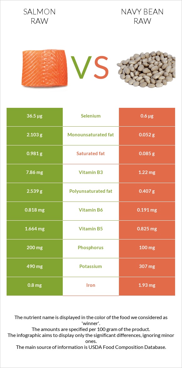 Salmon raw vs Navy bean raw infographic