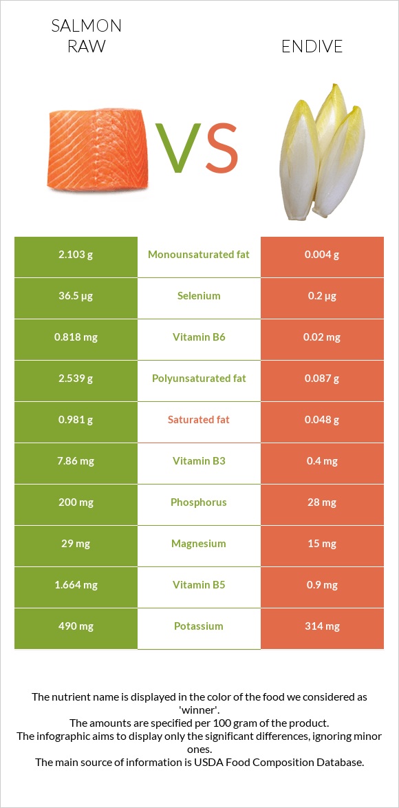 Salmon raw vs Endive infographic