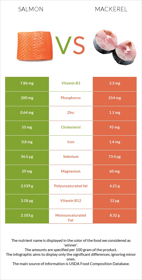 Salmon vs Mackerel infographic