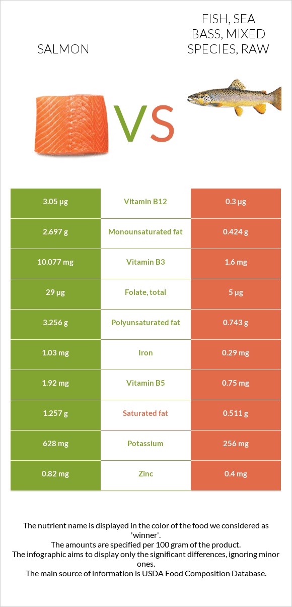 Salmon vs Fish, sea bass, mixed species, raw infographic