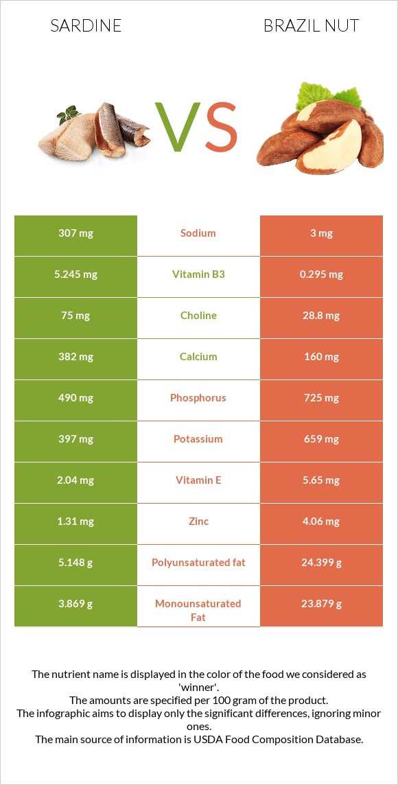 Sardine vs Brazil nut infographic