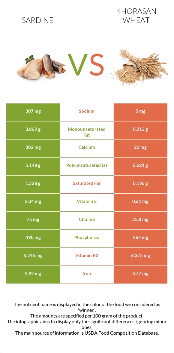 Սարդինաձուկ vs Խորասան ցորենի infographic