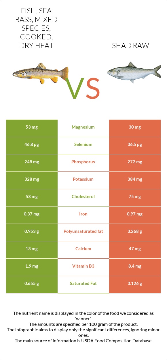 Fish, sea bass, mixed species, cooked, dry heat vs Shad raw infographic