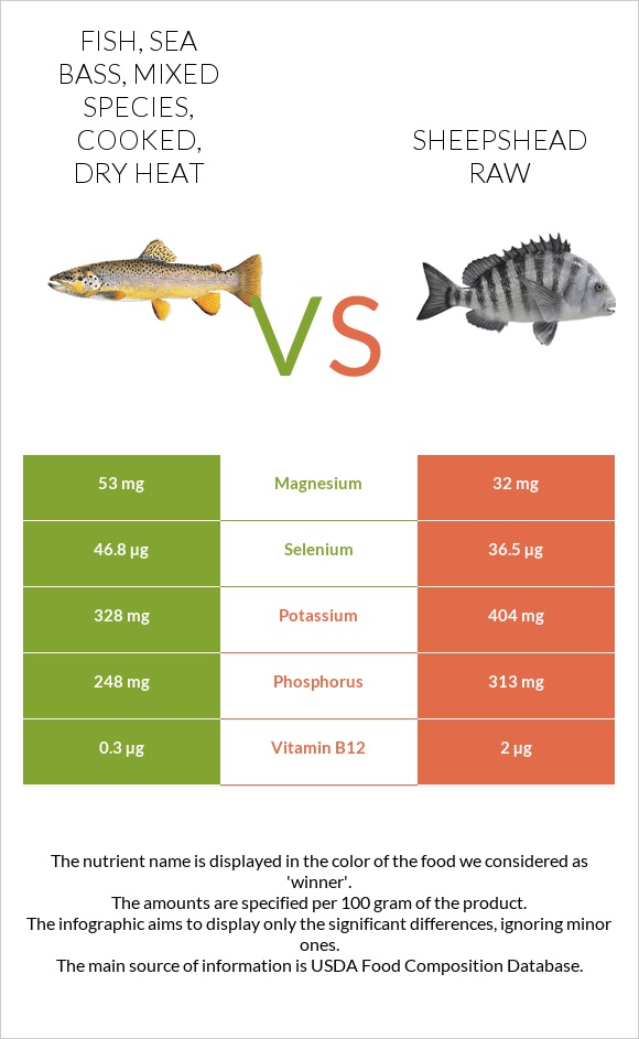 Fish, sea bass, mixed species, cooked, dry heat vs Sheepshead raw infographic