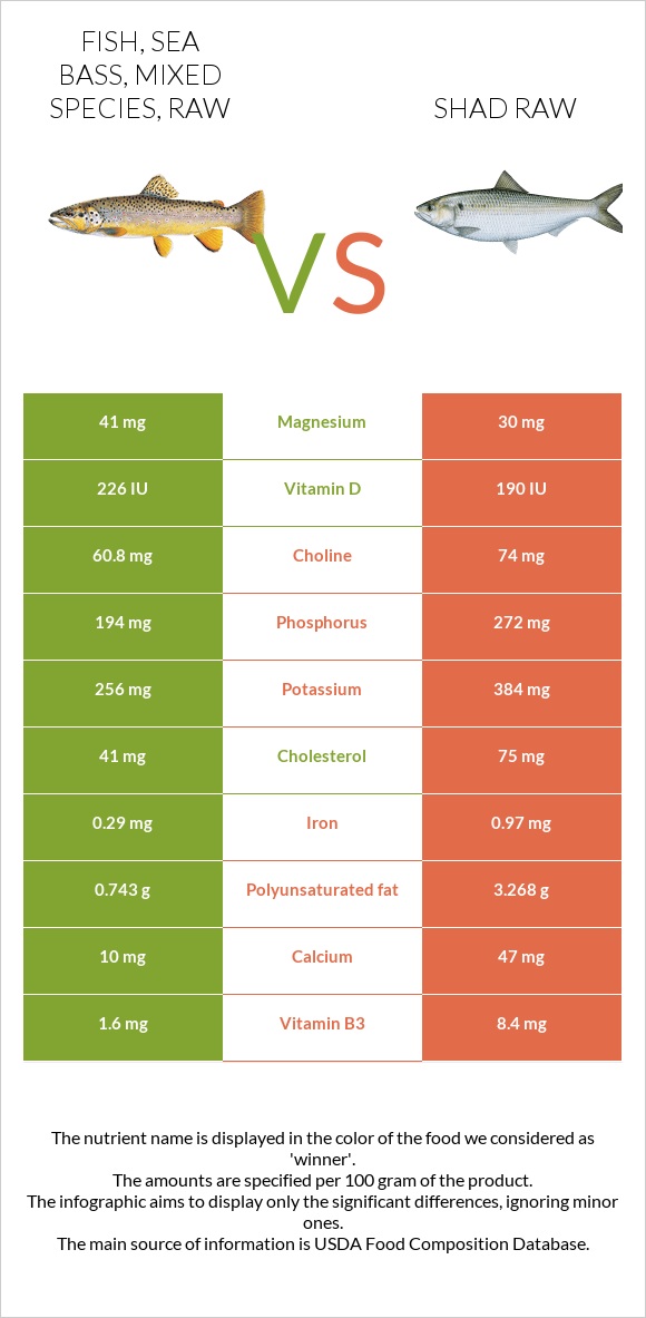 Fish, sea bass, mixed species, raw vs Shad raw infographic