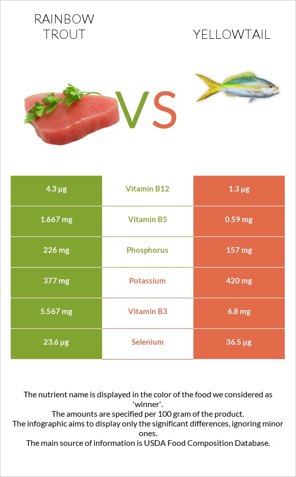 Rainbow trout vs Yellowtail infographic