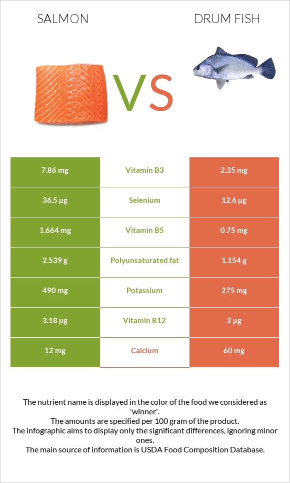 Սաղմոն vs Drum fish infographic