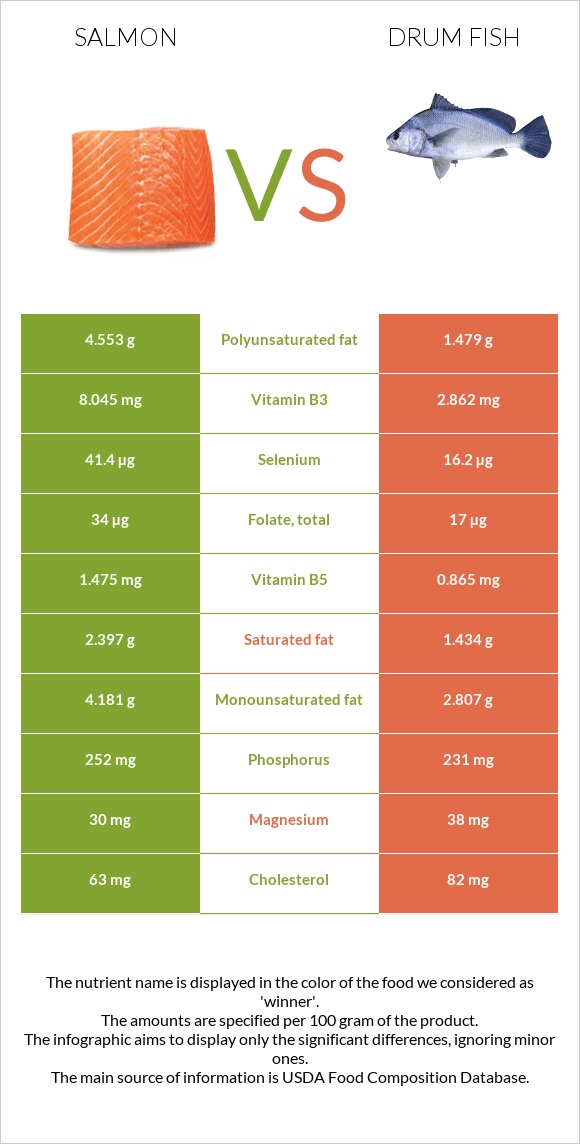 Սաղմոն vs Drum fish infographic