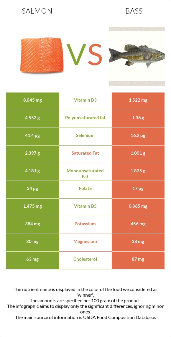 Salmon vs Bass infographic