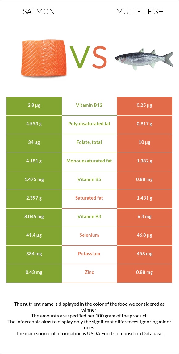 Salmon vs Mullet fish infographic