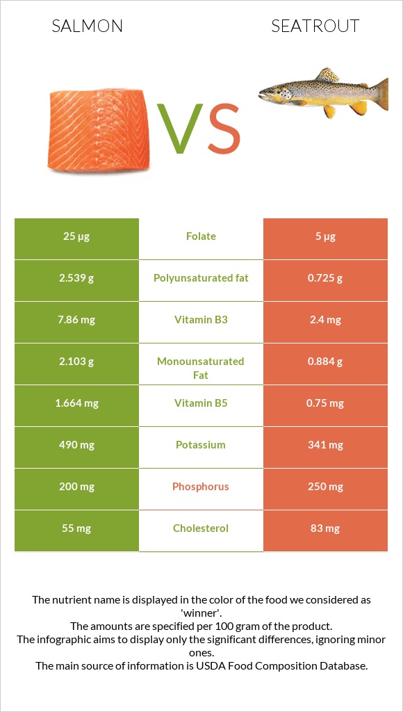 Salmon vs Seatrout infographic