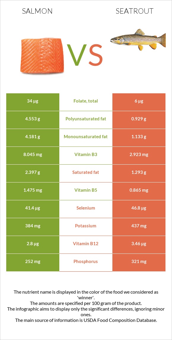 Salmon vs Seatrout infographic