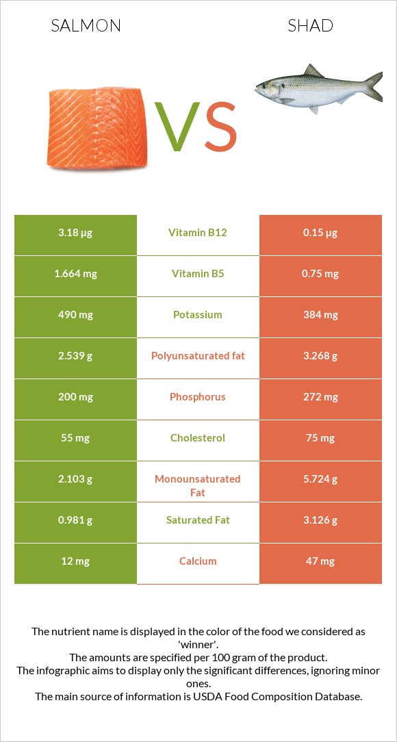 Salmon vs Shad infographic