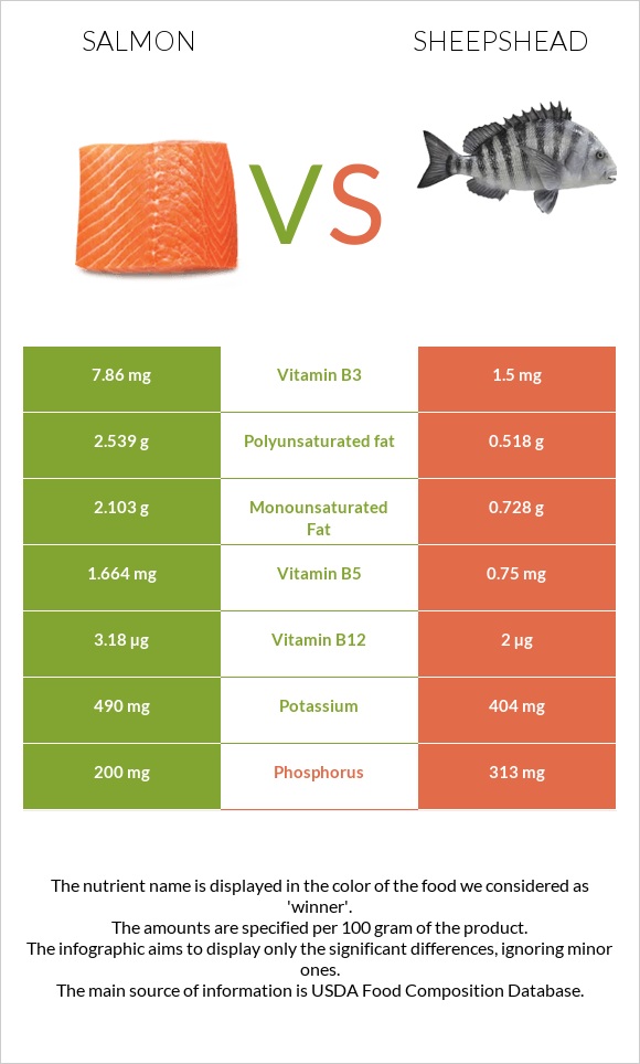 Salmon vs Sheepshead infographic