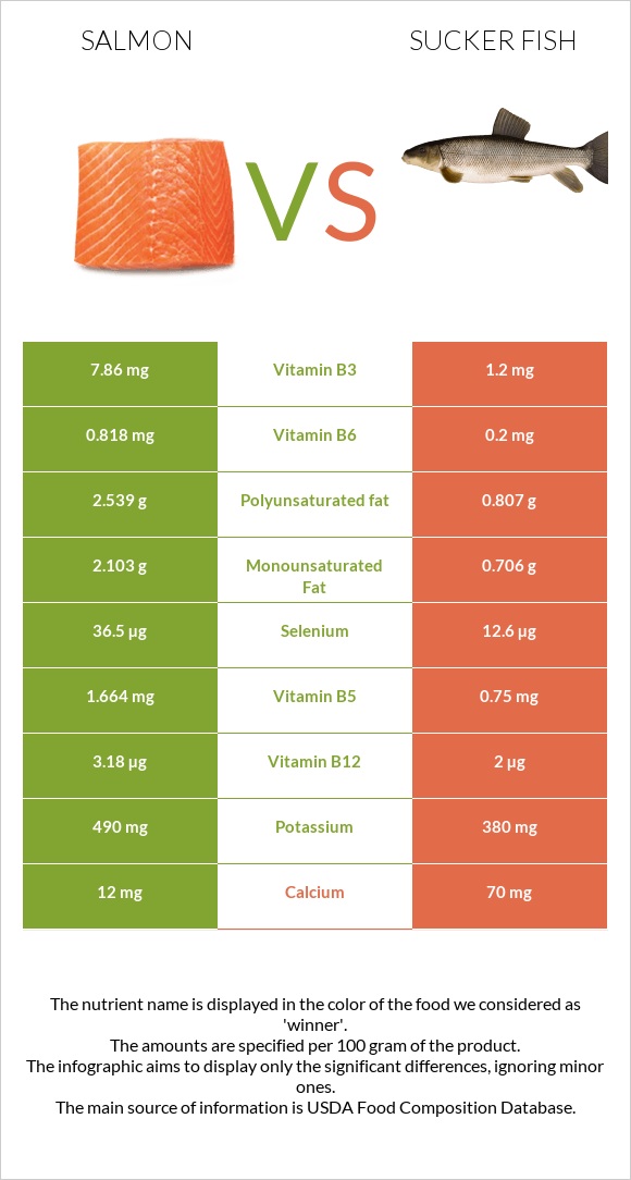 Salmon vs Sucker fish infographic