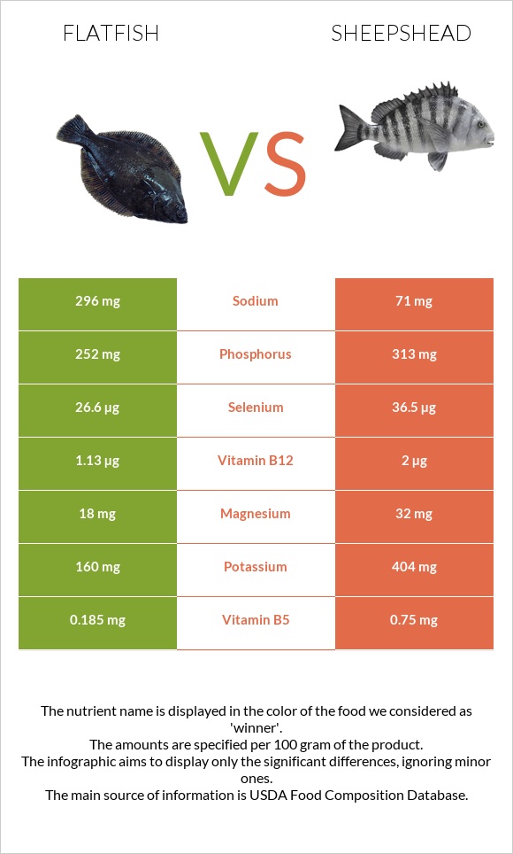 Flatfish vs Sheepshead infographic