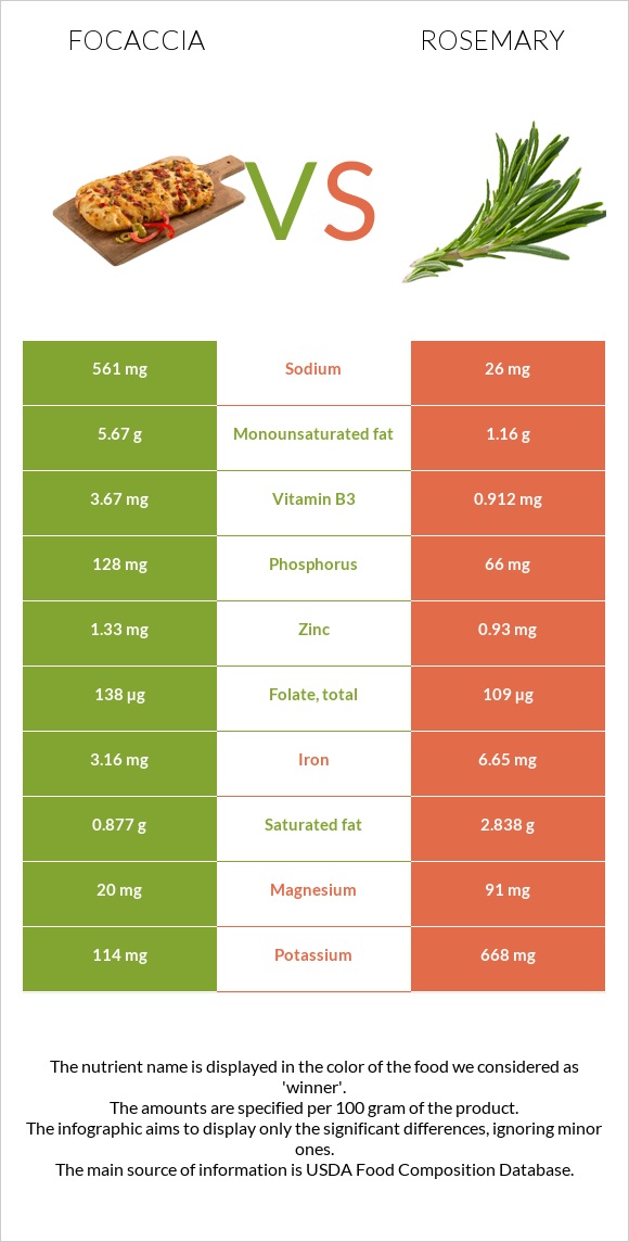 Focaccia vs Rosemary infographic