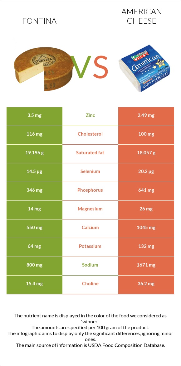 Fontina vs American cheese infographic