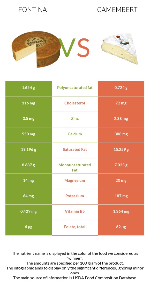 Fontina vs Camembert infographic