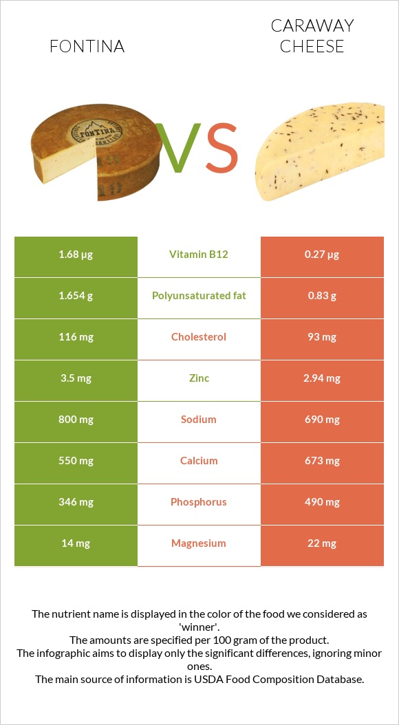 Fontina vs Caraway cheese infographic