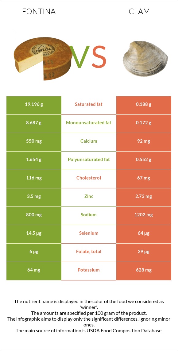 Fontina vs Clam infographic
