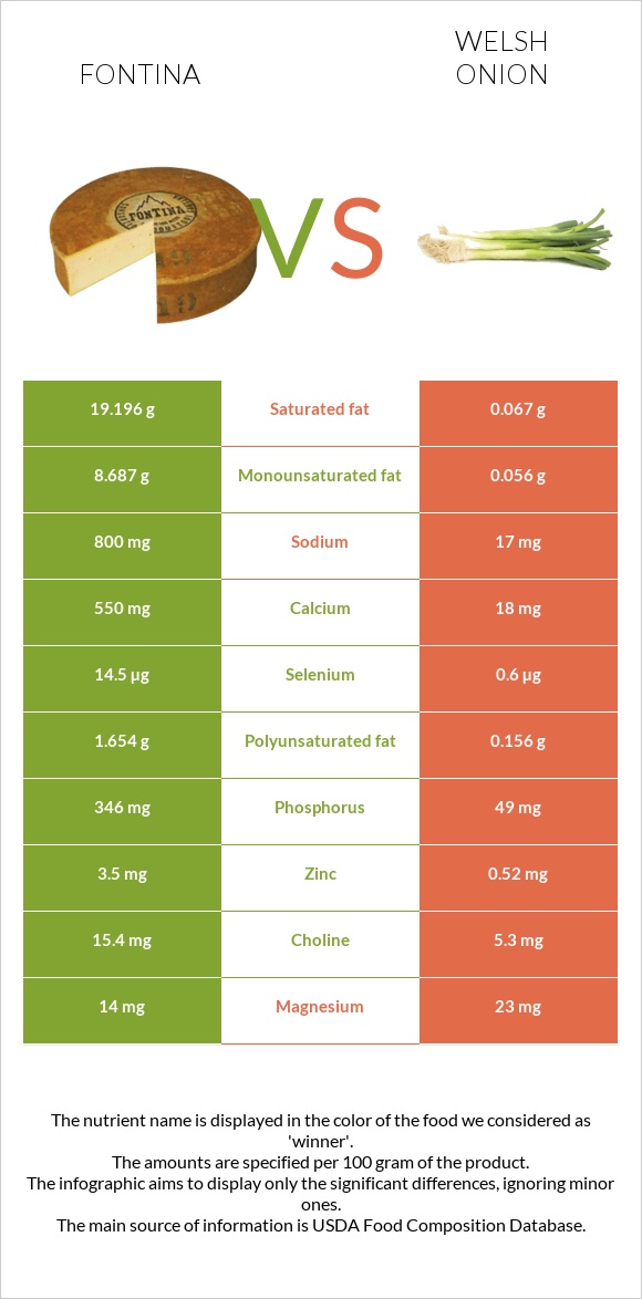 Ֆոնտինա պանիր vs Սոխ բատուն infographic