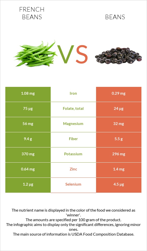 French beans vs Bean infographic