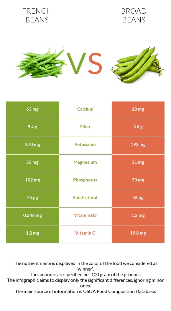 French beans vs Broad beans infographic