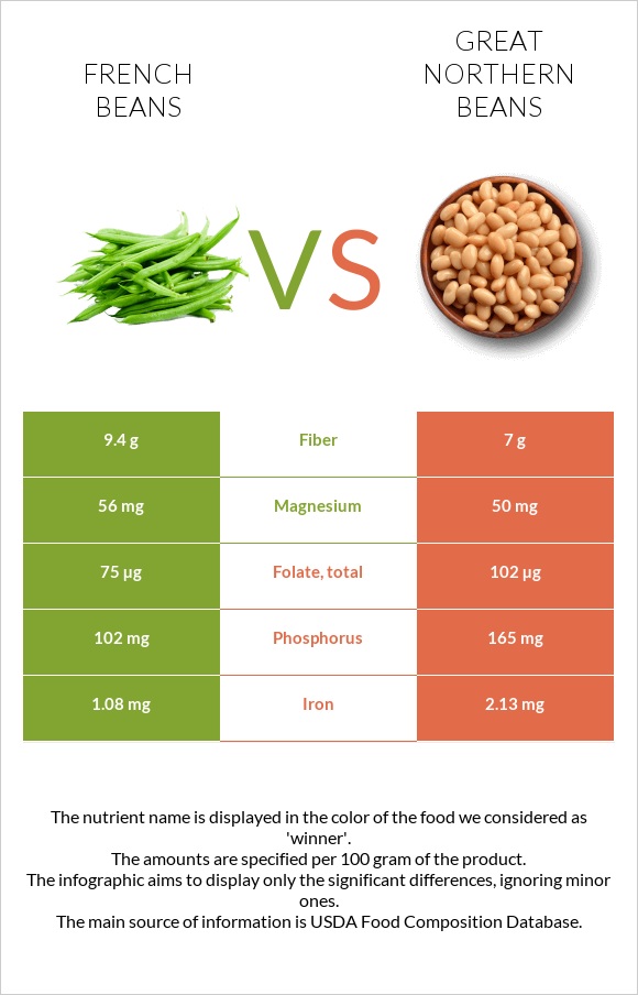 French beans vs Great northern beans infographic