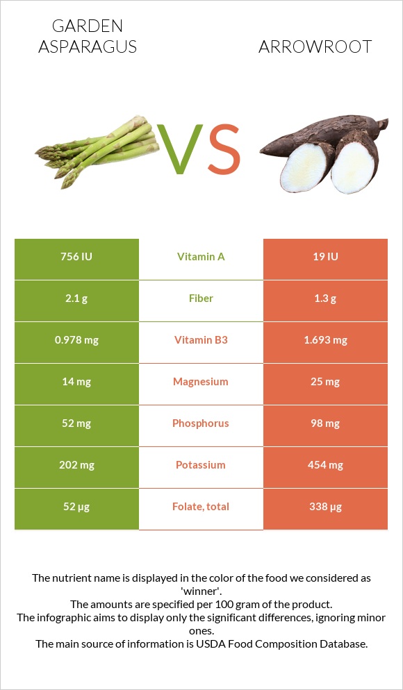 Garden asparagus vs Arrowroot infographic
