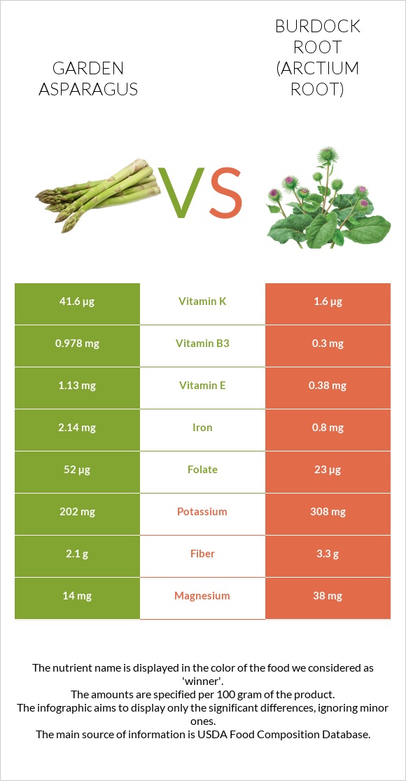 Garden asparagus vs Burdock root infographic