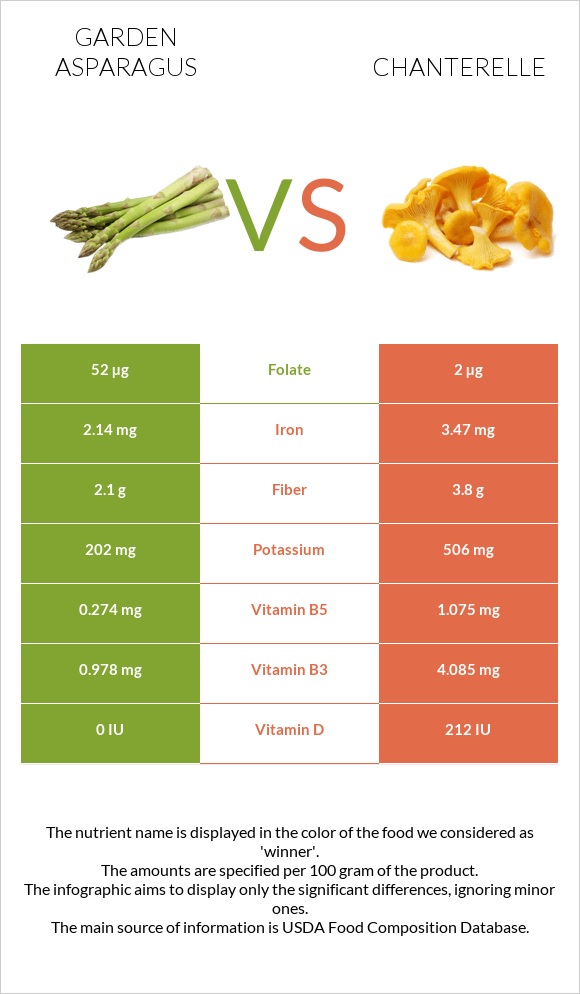 Garden asparagus vs Chanterelle infographic