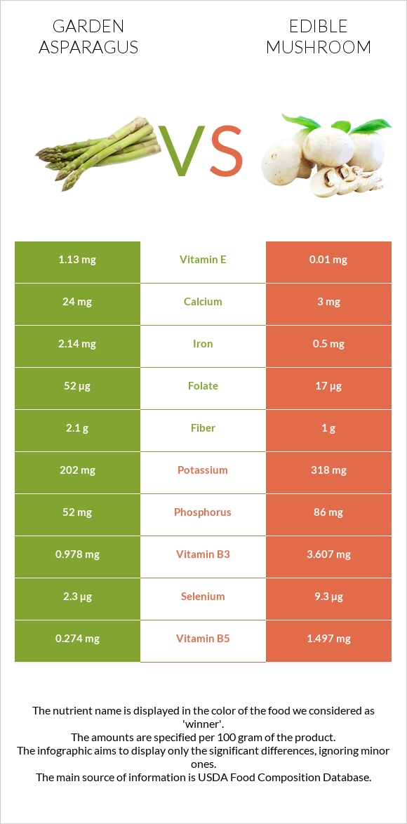 Garden asparagus vs Edible mushroom infographic