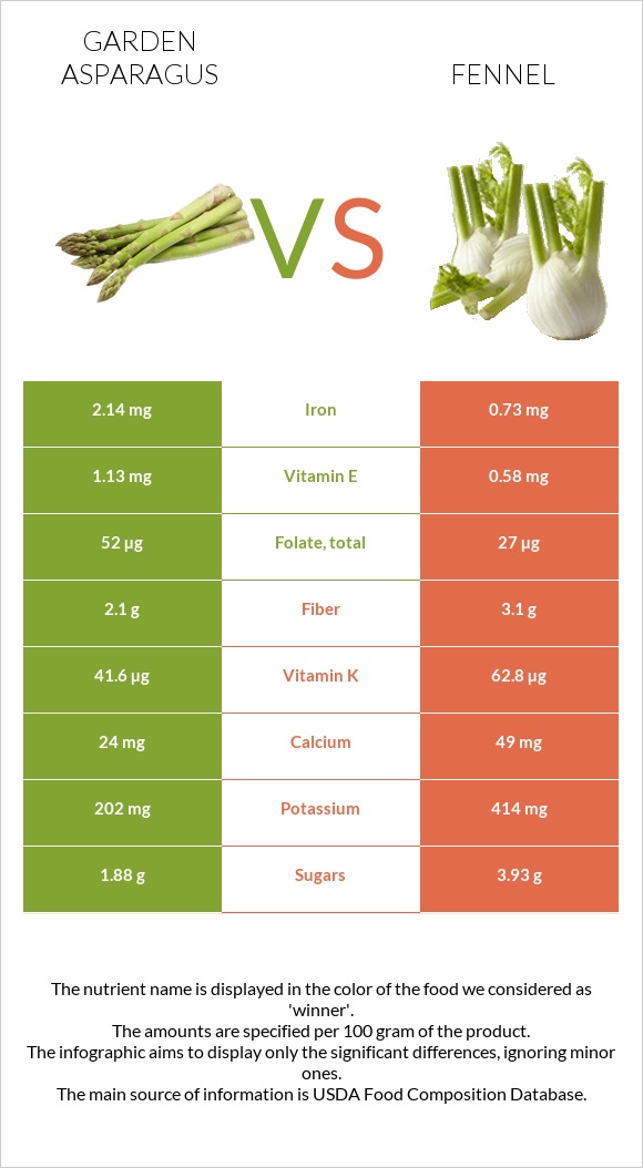 Garden asparagus vs Fennel infographic